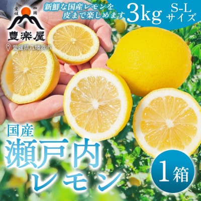 【防腐剤・ワックス不使用で安心】真穴産地直送の国産レモン 3kg(S~Lサイズ)【C98-5】【1711278】
