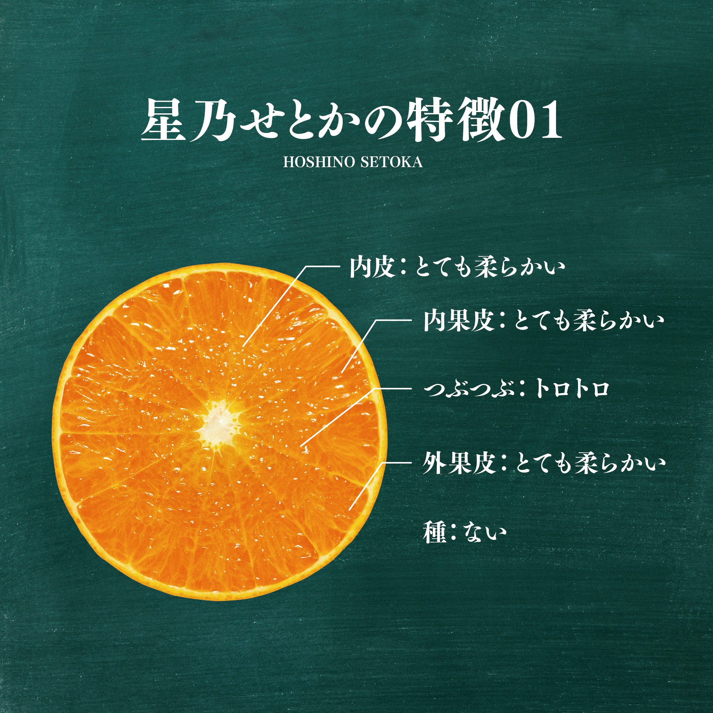 【先行受付】【訳あり】星乃せとか 柑橘の大トロ(5kg)【C45-97】【1650682】 YWTAZ059