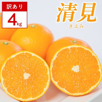 【訳あり】清見 4kg 愛媛県 八幡浜市 西宇和地区 柔らかい果肉【E25-378】【配送不可地域：離島】【1716883】
