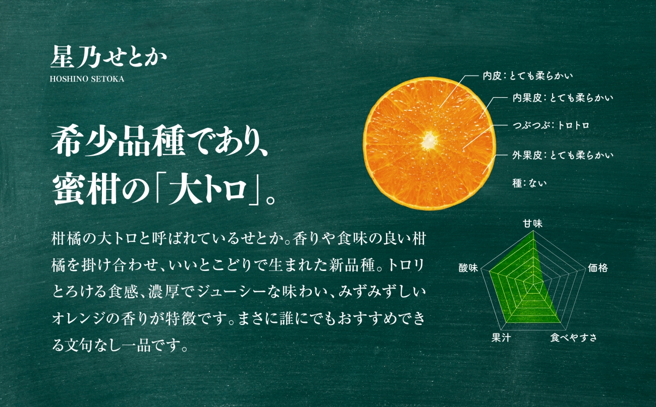 【訳あり】星乃せとか 柑橘の大トロ(3kg)【C45-87】【1535970】