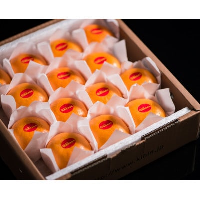 真穴みかん【貴賓】特級(14個入×2箱)【G44-1】【1490874】