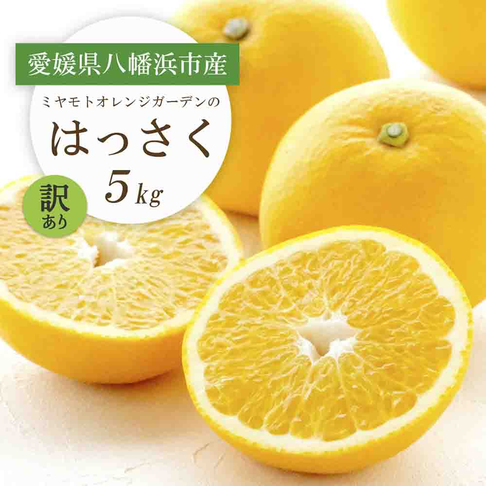 【2026年発送】ぷりぷり!酸味さわやか 八朔(はっさく) 5kg【訳あり】【C25-188】【1609989】 YWTAP129