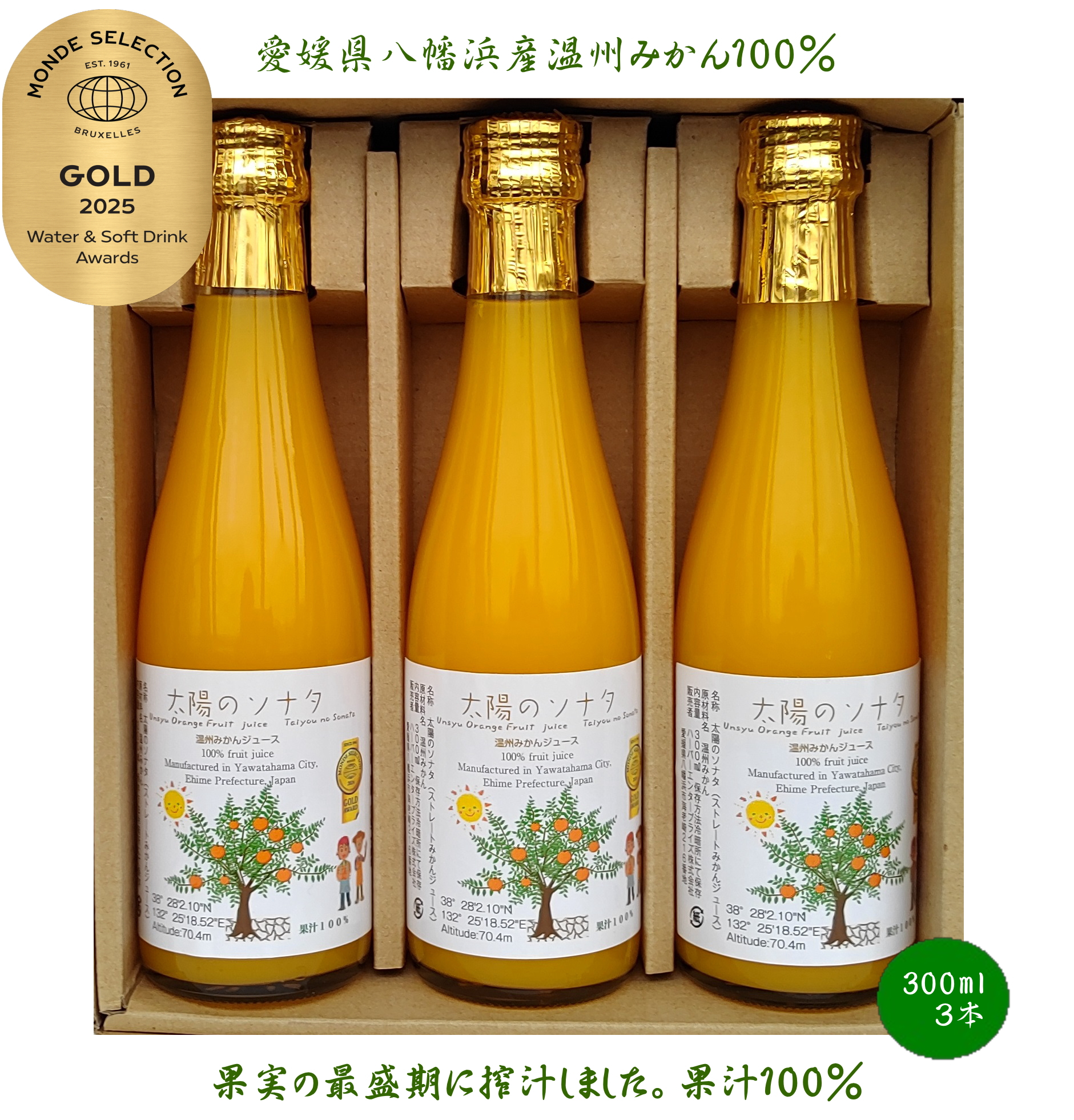 倪éœã®ãœãã¿(æž©å·ãããããžã¥ãŒã¹å°3æ¬å
¥ã)ãC12-4ãã1590370ã YWTAA004