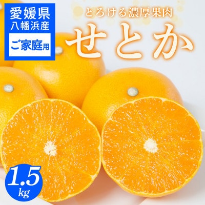 【ご家庭用】せとか 1.5kg みかん 愛媛県 八幡浜産市 西宇和地区 柑橘の女王【C25-299】【1713013】