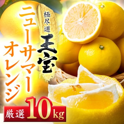 縲先帛ェ帛錐逕」縲醍脂螳昴ル繝・繝シ繧オ繝槭シ繧ェ繝ャ繝ウ繧ク縲10kg縲食64-39縲代1510857縲