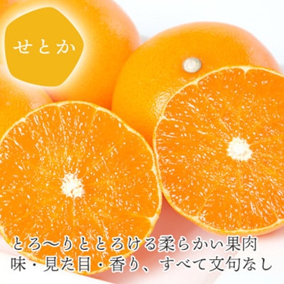 とろける濃厚柑橘 せとか ギフトボックス入り【E25-98】【1360096】