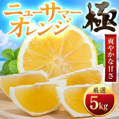 ã倪éœããã£ã·ã济ã³ãããã¥ãŒãµããŒãªã¬ã³ãžã極ã5kgãE49-58ãã1509761ã