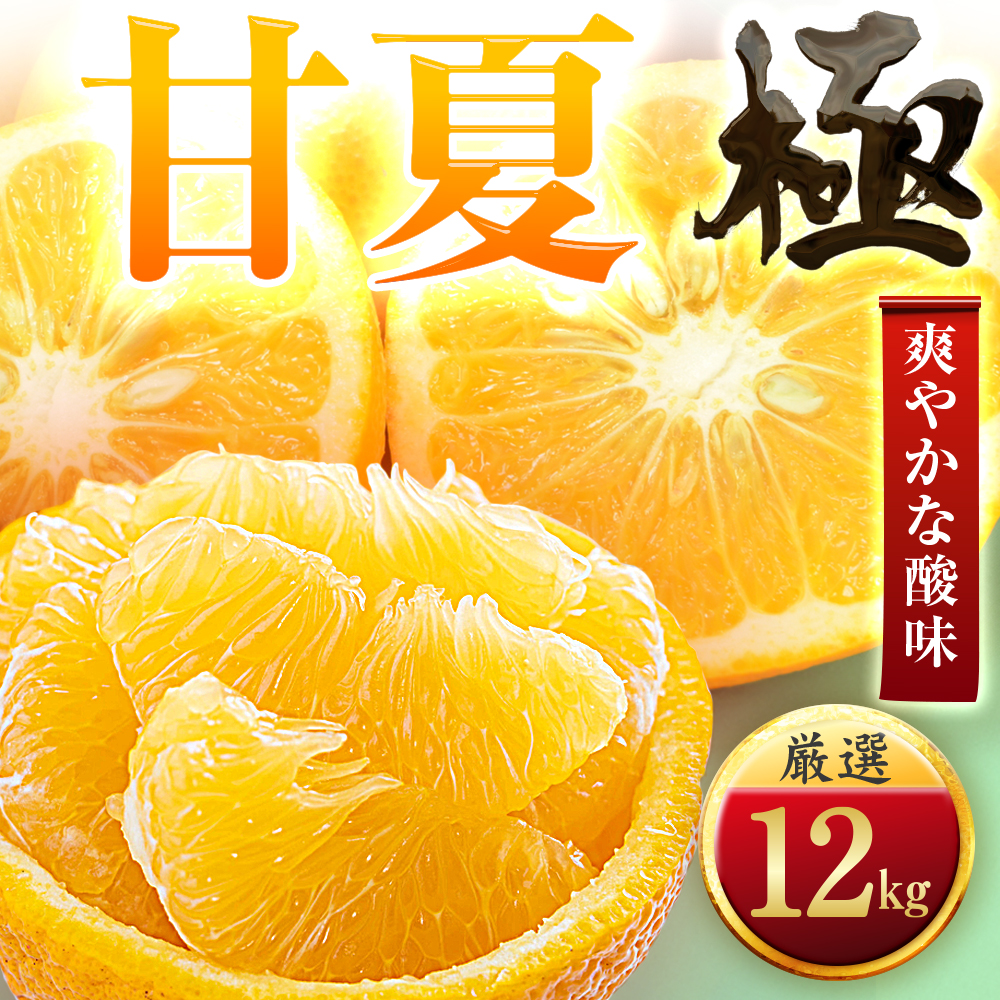 【太陽をたっぷり浴びた】甘夏【極】12kg【F49-86】【1621798】 YWTZ071