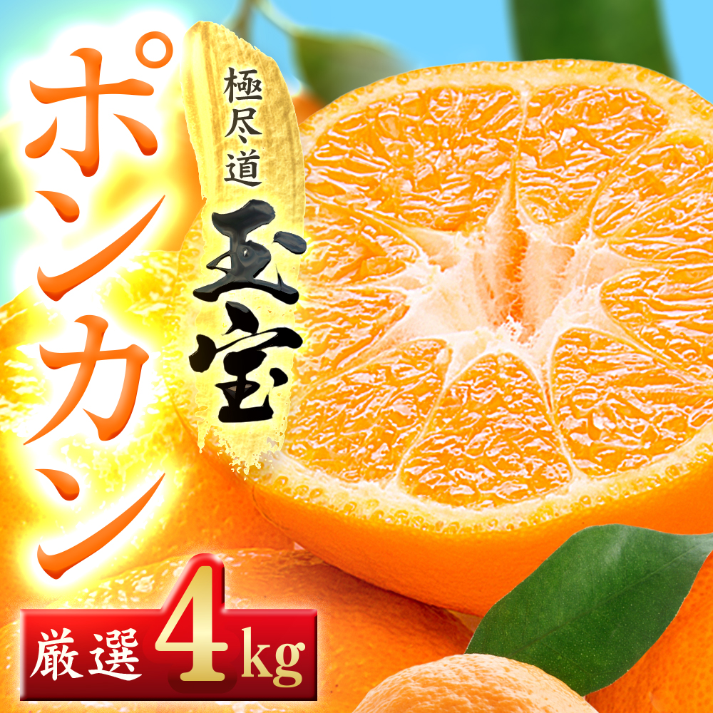 【愛媛名産】玉宝ポンカン　4kg【C64-65】【1621807】 YWTY054
