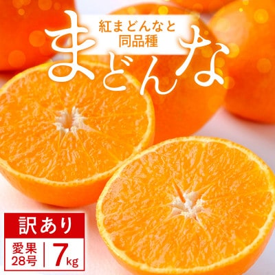 【訳あり】紅まどんな と同品種!愛果28号 7kg【H25-363】【1716687】
