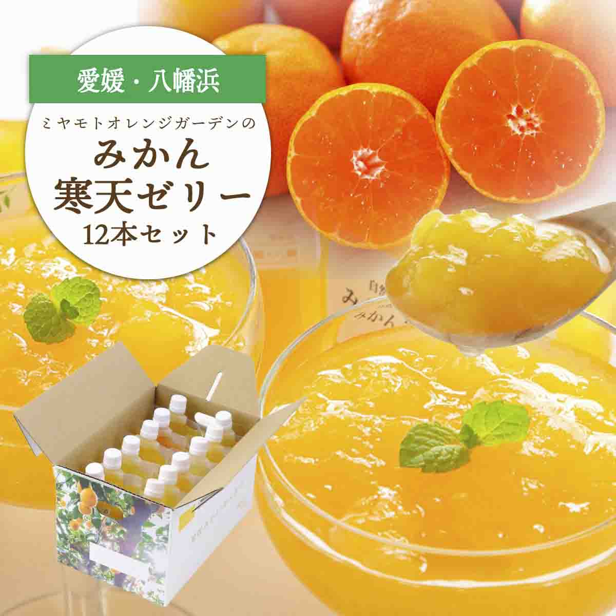 ゲル化剤・pH調整剤不使用!愛媛産 みかん寒天ゼリー 12本セット【D25-220】【1628720】 YWTAP161