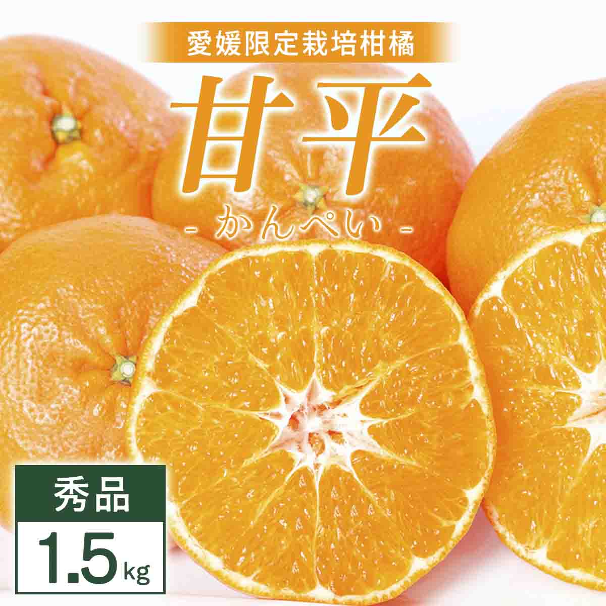 【先行受付】甘平 1.5kg 愛媛県 八幡浜市 西宇和地区 扁平で濃い味【D25-330】【1714513】 YWTAP271