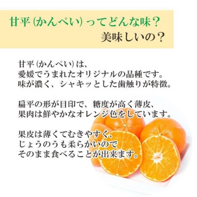 ã2é±éæ¯å®æäŸ¿ããæåªé宿 œå¹ãçå¹³3kg(èš³)Ãçå¹³3kg(ç§)ãH25-270ãå
š2åã4071371ã