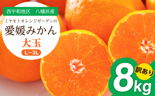 【2025年11月より順次発送】大玉サイズのみ厳選!愛媛みかん8kg【訳あり】【C25-142】【1166254】