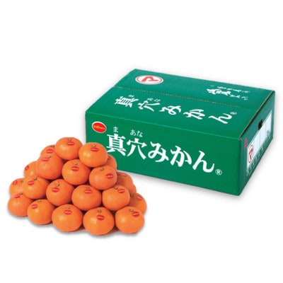 真穴みかん【2Lサイズ】約5kg【E43-11】【1654525】