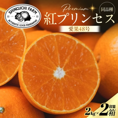 【紅プリンセスと同品種】「甘平×まどんな」愛果48号【2kg×2箱】【家庭用】【F70-111】【1683889】