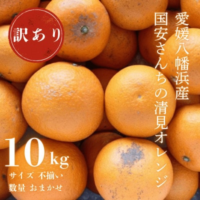 【まるで食べるジュース!越冬完熟品】愛媛産 訳あり 清見オレンジ 10kg【F20-34】【1594861】