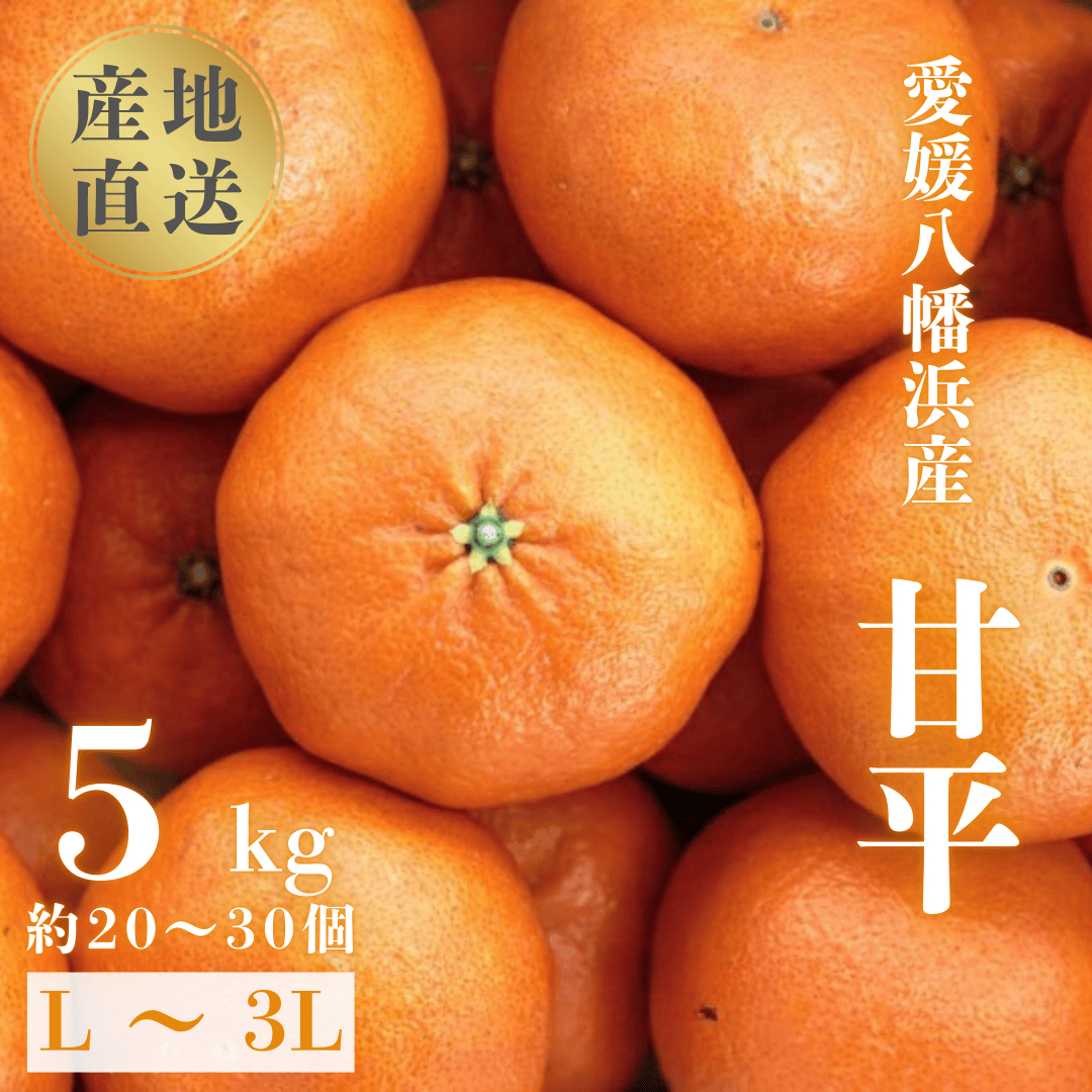 【愛媛が誇る 高級みかん 希少品種】甘平 (かんぺい) 5kg【H20-66】【1620336】 YWTI061