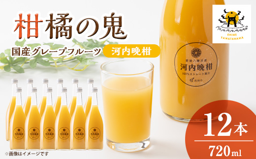 河内晩柑ジュース(ストレート)720ml×12本【H56-79】【1668628】