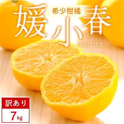 【訳あり】媛小春 7kg みかん 愛媛県 八幡浜市 西宇和地区 希少な幻の柑橘【G25-361】【1716111】