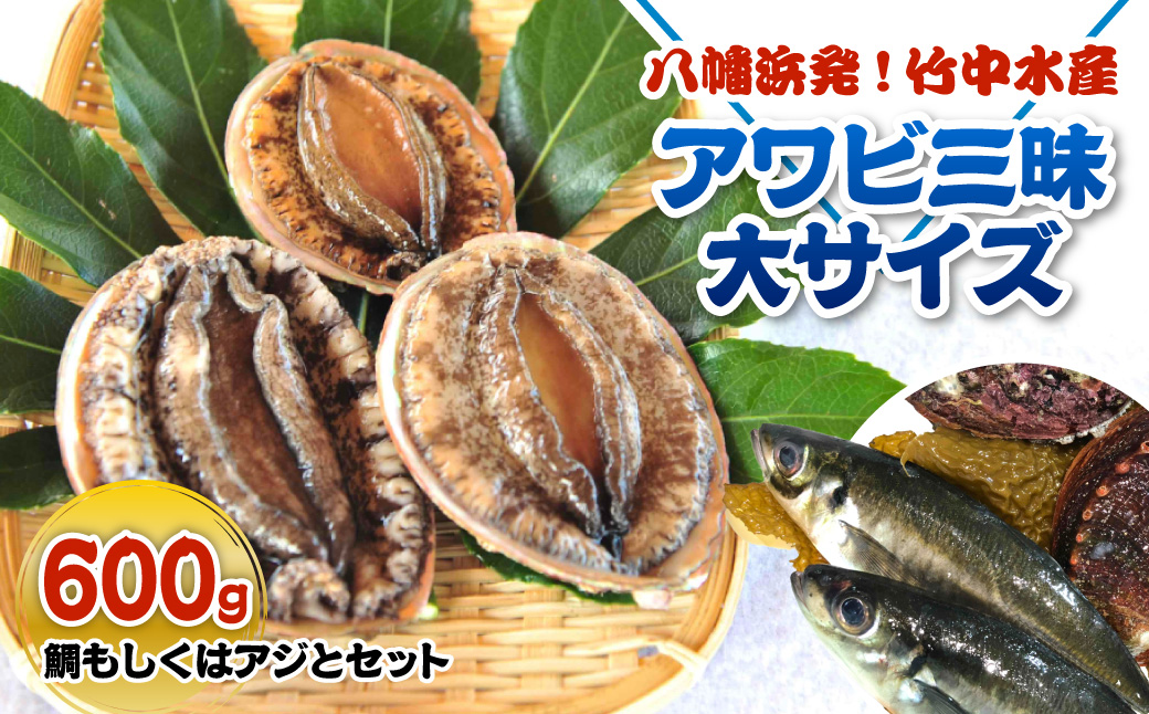 八幡浜発!竹中水産の「アワビ三昧大サイズ」600g(鯛もしくはアジとセット)　【H22-212】【配送不可地域：離島・北海道・沖縄県】【1043108】 YWTM030