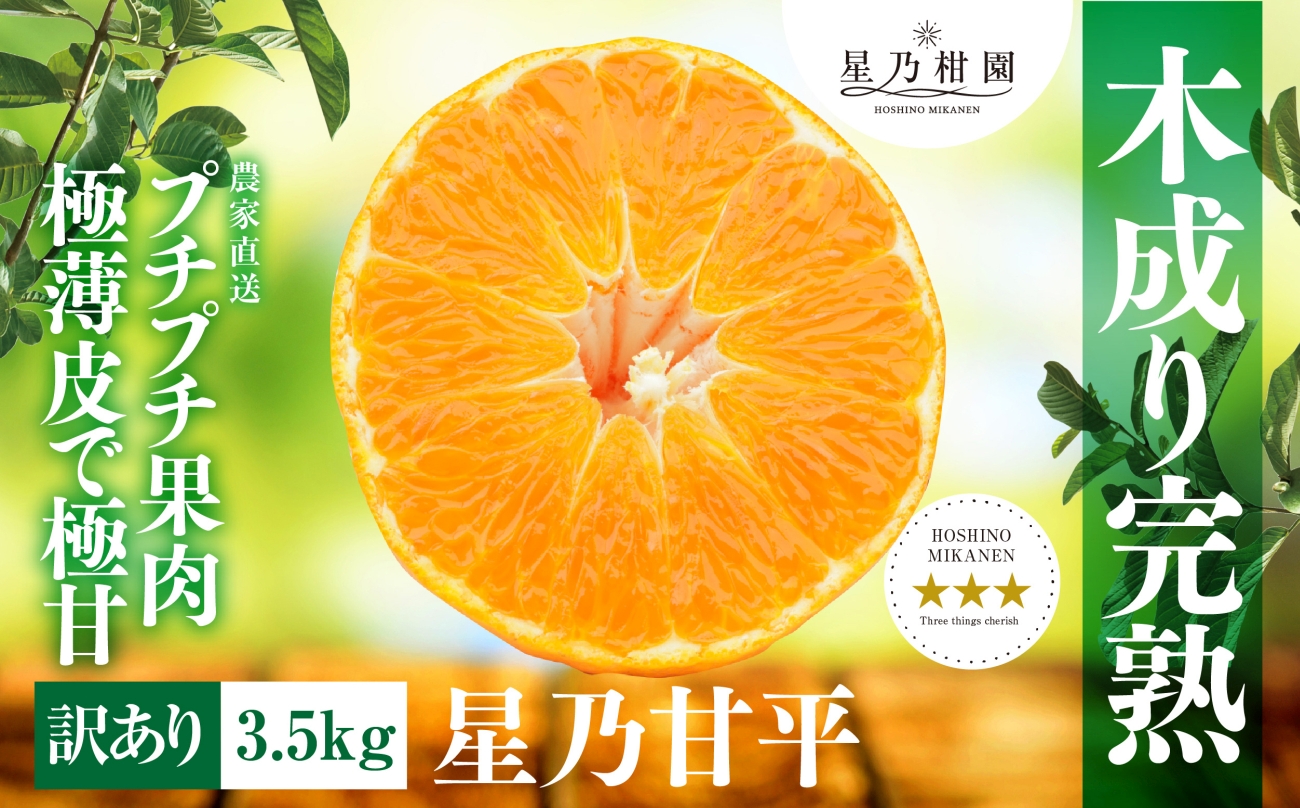 【訳あり】星乃みかん園の甘平(3.5kg)【D45-95】【1625779】