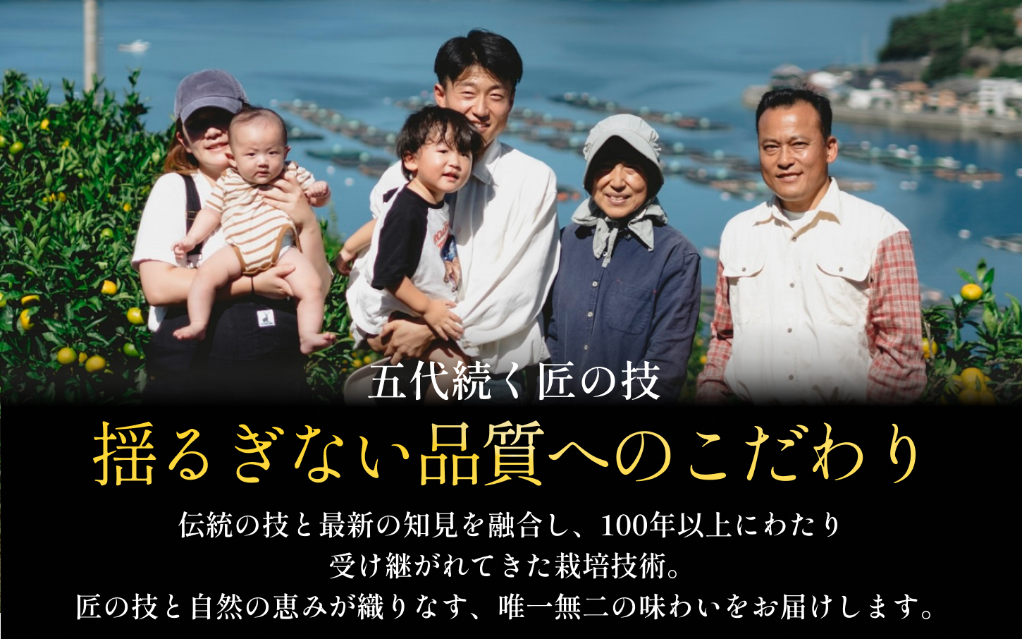 【先行受付】【皮が薄くて種が少ない】璃の香グリーンレモン 5kg 愛媛県産【D70-51】【1550676】 YWTK051