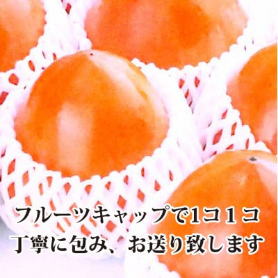 甘さにニッコリ日本最大級の柿「富士柿」約5キロ 【D39-15】【配送不可地域：離島・北海道・沖縄県】【1236930】