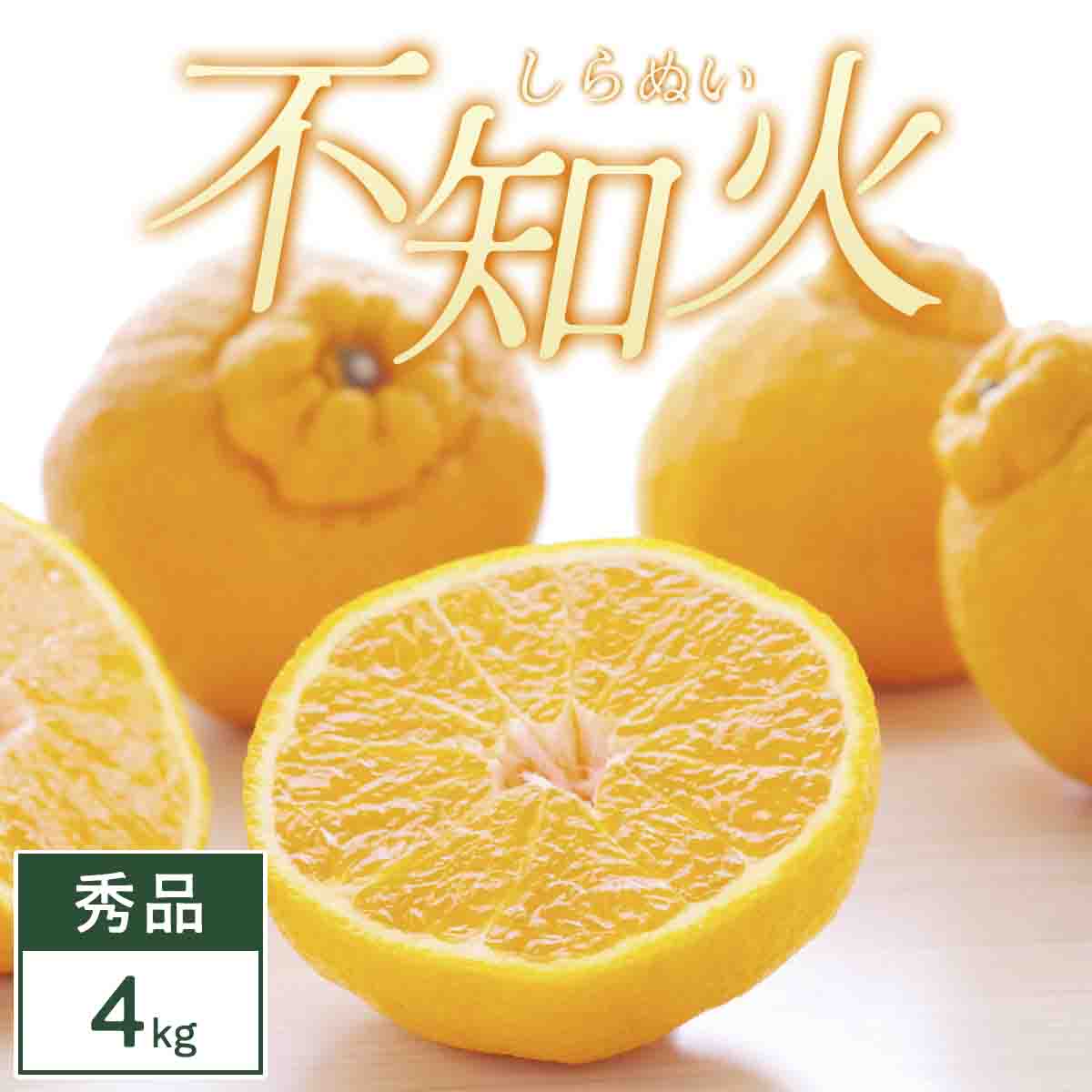 不知火 4kg みかん 愛媛県 八幡浜市 西宇和地区 濃厚な柑橘【C25-373】【1718367】 YWTAP314