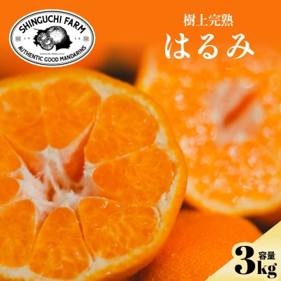 老舗農家が見極めたプレミアム【はるみ3kg】【希少・プチプチ食感】【C70-130】【1684351】