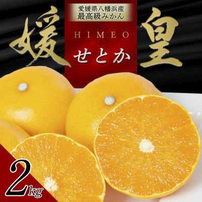 【先行受付】 最高級みかん 媛皇 せとか 2kg 愛媛県 八幡浜市 西宇和地区 柑橘の女王【C25-307】【1713682】 YWTAP248