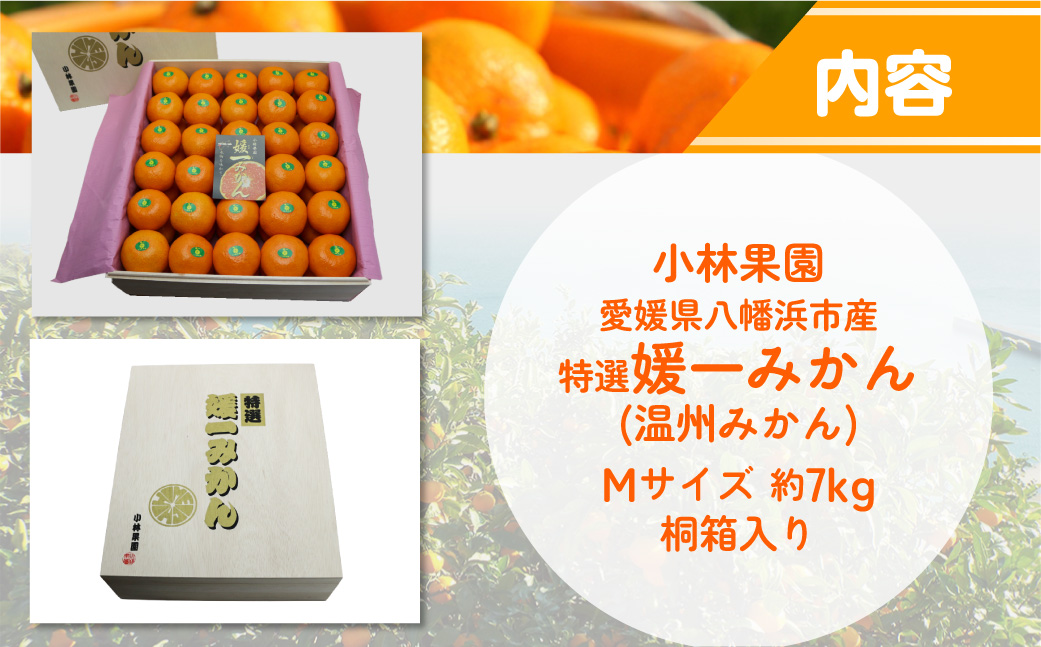 【先行受付】桐箱入り・媛一みかん(7kg)【G24-3】 YWTAD001