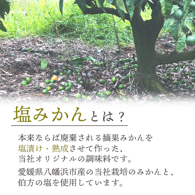 まるごと塩漬けにしたみかんを使用 塩みかん寒天ゼリー6 本セット ギフト箱入【C25-61】【1231054】 YWTAP033
