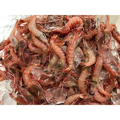 遶ケ荳ュ豌エ逕」縺ョ蝨ー豬キ閠(蜈ォ蟷。豬懃肇)2繧ュ繝ュ!縲色22-267縲代宣埼∽ク榊庄蝨ー蝓滂シ夐屬蟲カ縲代1083422縲