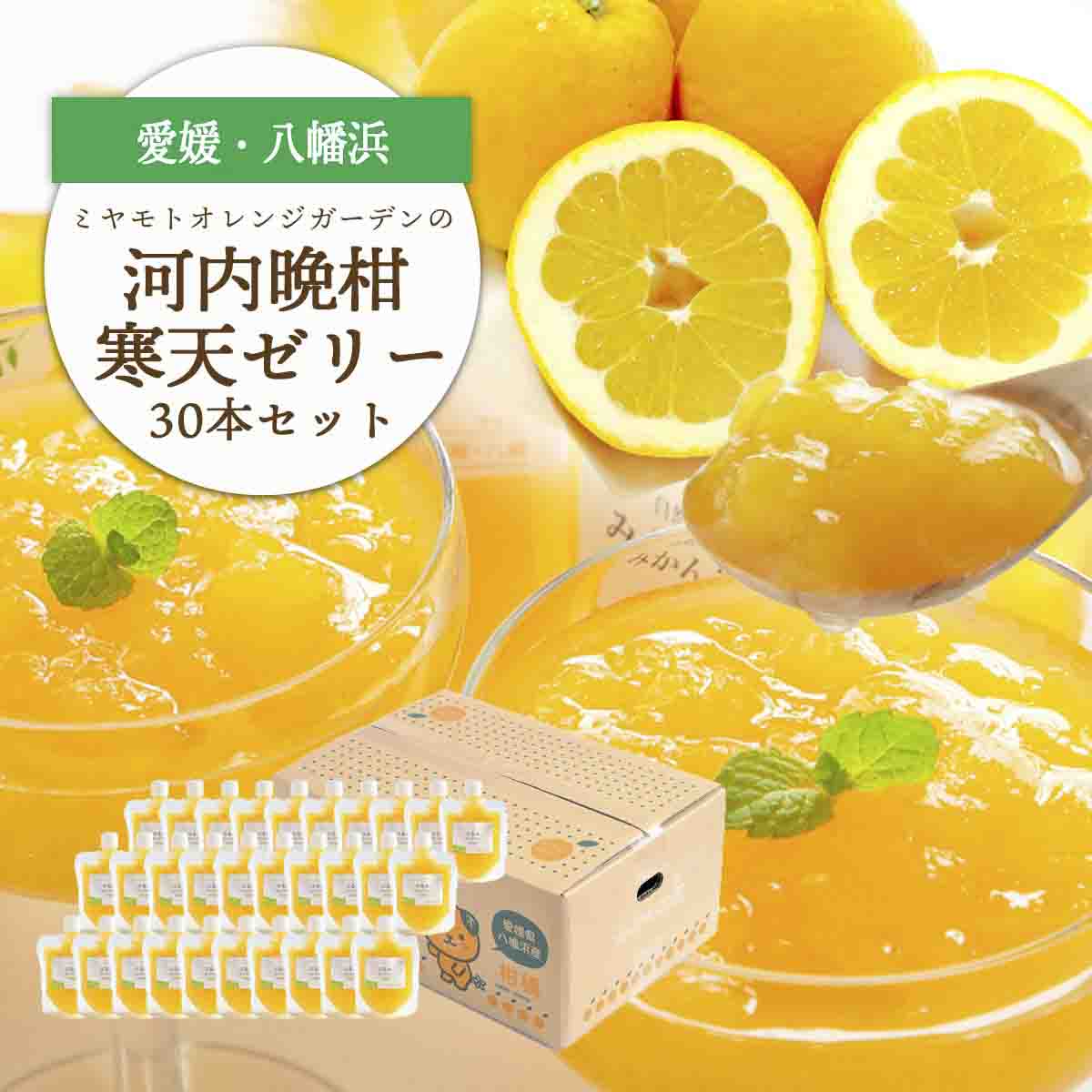 ゲル化剤・pH調整剤不使用!愛媛産 河内晩柑寒天ゼリー 30本セット【H25-239】【1630027】 YWTAP180