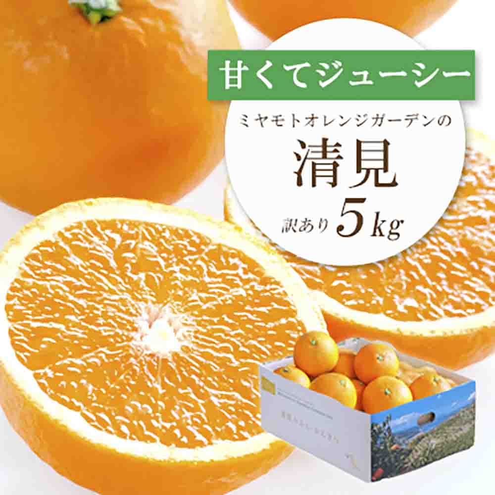 果汁たっぷり! ジューシー 愛媛県八幡浜市産 清見 5kg 【訳あり】【D25-138】【1138006】 YWTAP081