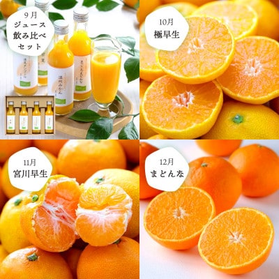 ãçºéæåºå®å®æäŸ¿ãæåªã®äººæ°åçš®ãå³éž!ã¿ããå®æäŸ¿(ç§å)ãH25-166ãå
š12åãé
éäžå¯å°åïŒé¢å³¶ãã4054625ã