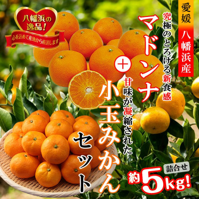 2025蟷エ11譛育匱騾髢句ァ九縺キ繧九キ繧区眠鬟滓─!縲後槭ラ繝ウ繝翫+豼蜴!縲悟ー冗脂縺ソ縺九s縲咲エ5kg縲織39-32縲代1252242縲