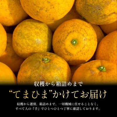 縲仙、ェ髯ス縺ョ諱オ縺ソ繧偵ぐ繝・繝縺ィ蜃晉クョ縲第イウ蜀譎ゥ譟 險ウ縺ゅj 5kg 諢帛ェ帷恁逕」縲燭70-87縲代1635557縲