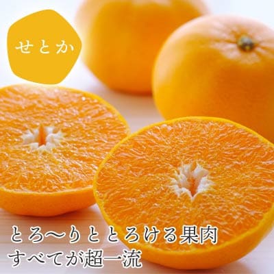愛媛の人気2品種をセットに!せとか・不知火 食べ比べ【訳あり】【D25-195】【複数個口で配送】【4066396】