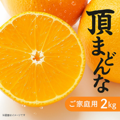 【発送月固定定期便】美味しいみかん柑橘のある暮らし【みかん・まどんな・せとか】【G31-43】全3回【4058604】