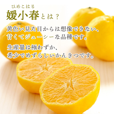 ã²ã«åå€ã»pH調æŽå€äžäœ¿çš!æåªç£ åªå°æ¥å¯å€©ãŒãªãŒ 30æ¬ã»ãããH25-238ãã1630020ã YWTAP179