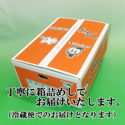 ããŸã蟲å é«ç³åºŠã¿ãã!ããããŒã®ããC39-11ããé
éäžå¯å°åïŒé¢å³¶ãã1491797ã