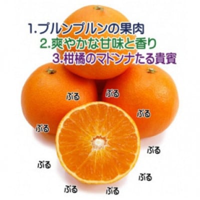 柑橘界のスイーツ!?愛媛県八幡浜産媛まどんな5kg【訳あり】【E35-10】【配送不可地域：離島・北海道・沖縄県】【1492233】