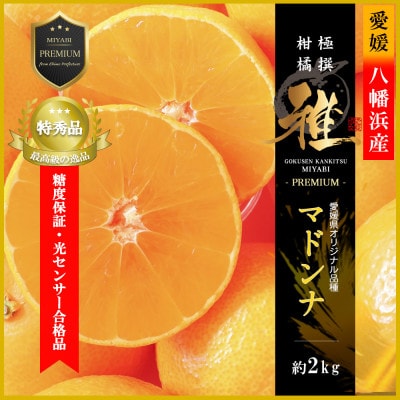 極撰柑橘【雅プレミアム】糖度保証・光センサー 合格品「 マドンナ 」約2キロ【D39-61】【配送不可地域：離島】【1614244】
