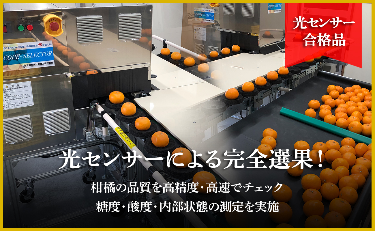 極撰柑橘【雅プレミアム】糖度保証・光センサー合格品「 せとか 」約3キロ【D39-69】【配送不可地域：離島】【1620365】 YWTF044