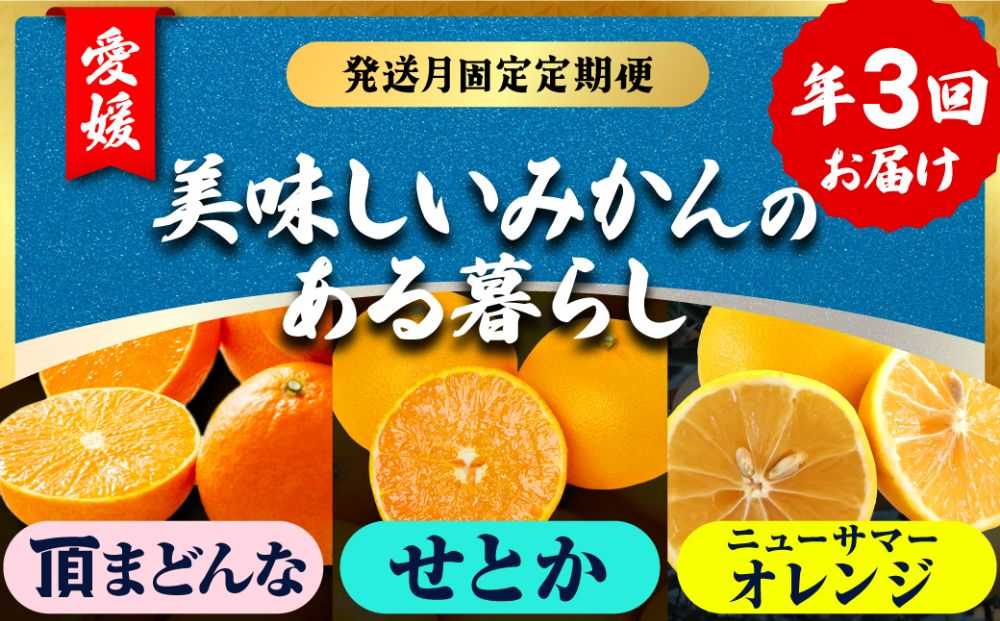 【発送月固定定期便】美味しい柑橘【まどんな・せとか・ニューサマーオレンジ】【G31-45】全3回【配送不可地域：離島】【4058607】 YWTAC034