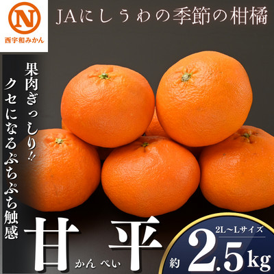 JAにしうわの季節の柑橘(甘平　約2.5kg　化粧箱)【F08-9】【1474277】