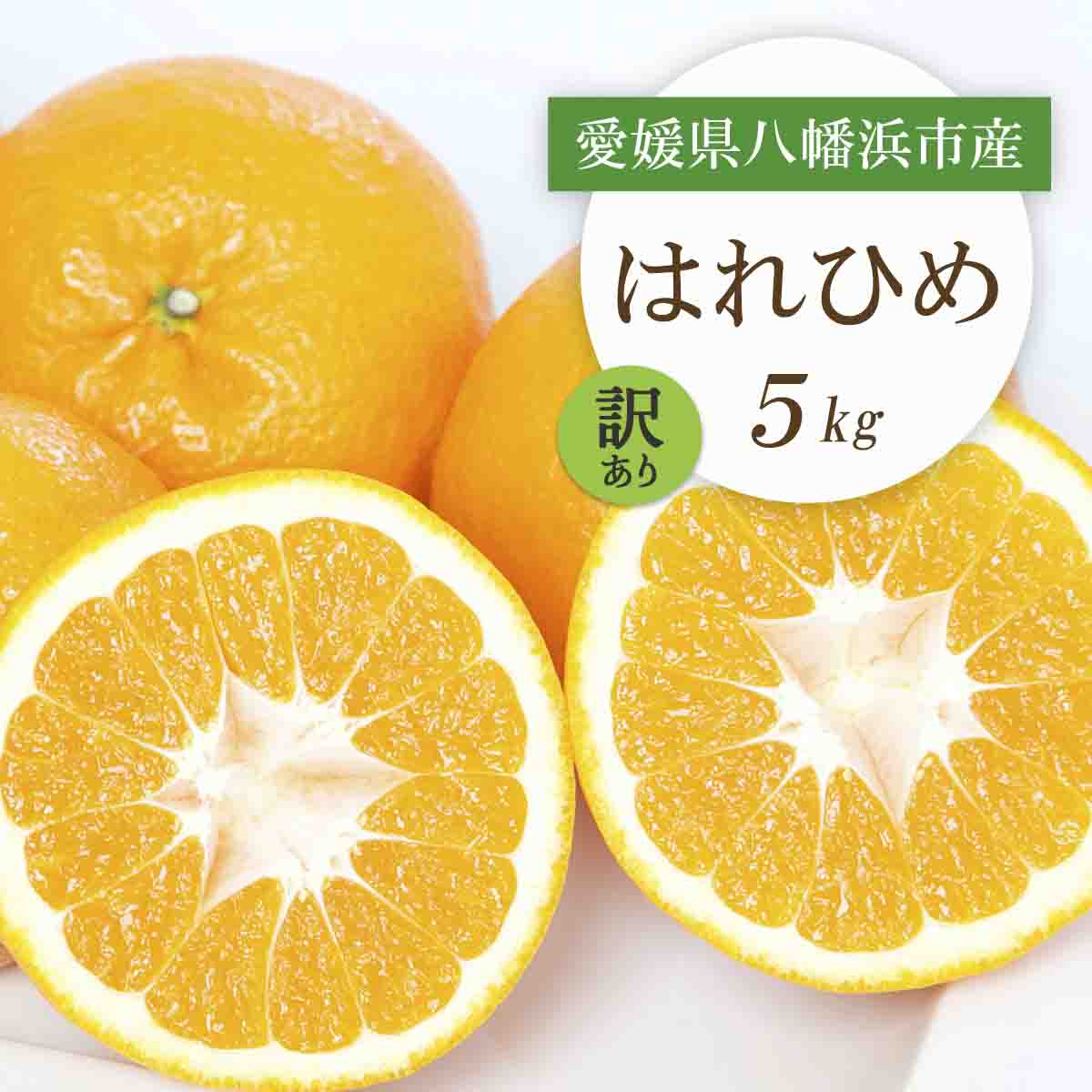 【2025年12月より順次発送】愛媛県八幡浜市産 はれひめ5kg【訳あり】【C25-207】【1612501】 YWTAP148