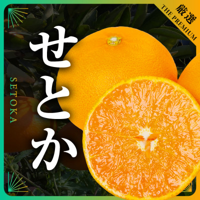 【発送月固定定期便】柑橘【みかん・まどんな・せとか・ニューサマーオレンジ】【H31-46】全4回【4058612】